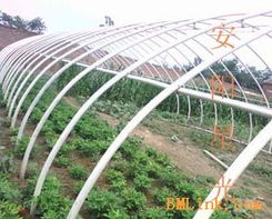供應新型大棚支架 安陽星光種植技術開發(fā)引領農業(yè)現代化