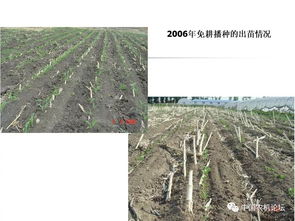 輕簡型免耕播種機的技術(shù)革新與種植應(yīng)用——播種機械化發(fā)展研討會專題報告