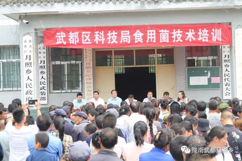 科技賦能農(nóng)業(yè)，武都區(qū)科技局在月照鄉(xiāng)舉辦食用菌栽培技術(shù)培訓(xùn)會(huì)助力鄉(xiāng)村振興