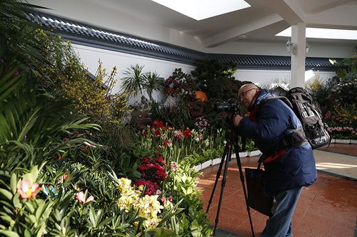 中山公園迎春花卉精品展 70余種珍品競相開放，引領(lǐng)種植技術(shù)新探索